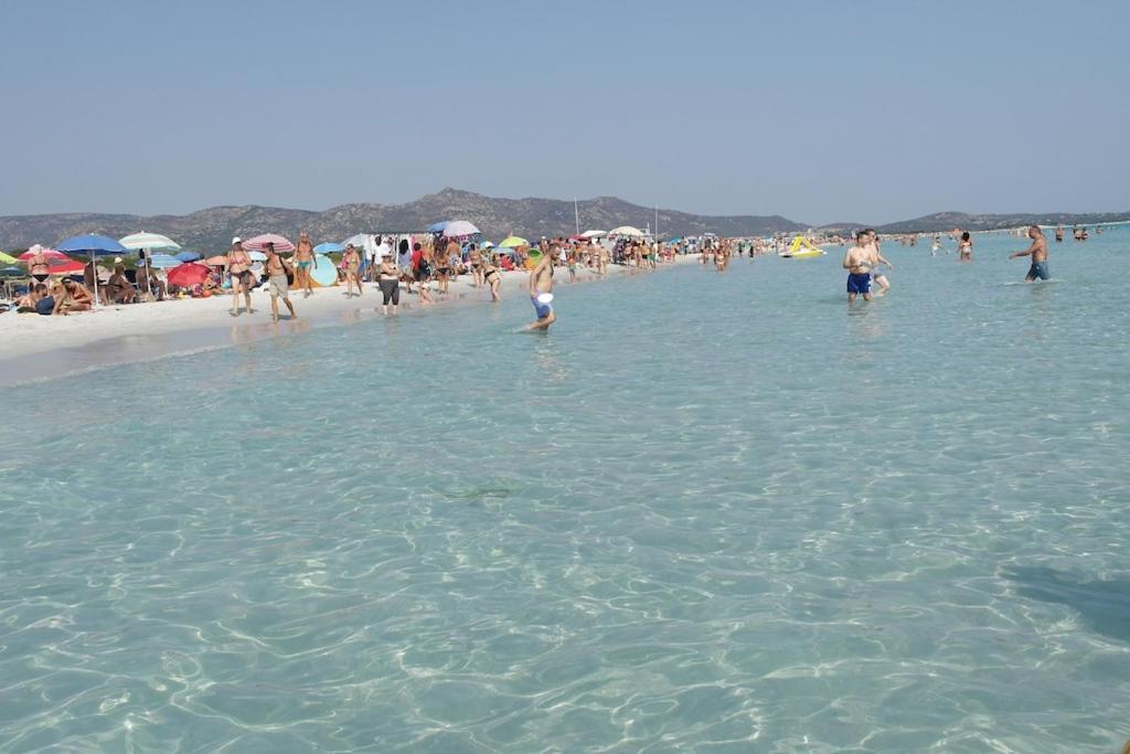 Ferienhaus Last Minute Costa Smeralda House With Swimming Pool 2 Km From The Sea